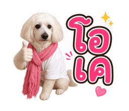 ตัวอย่างสติ๊กเกอร์: หมาพุดเดิ้ลขาว "โอเค"